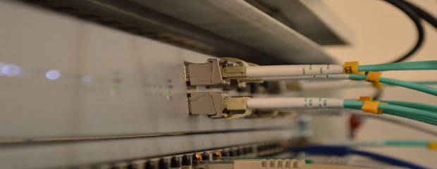 gallery/Fiber